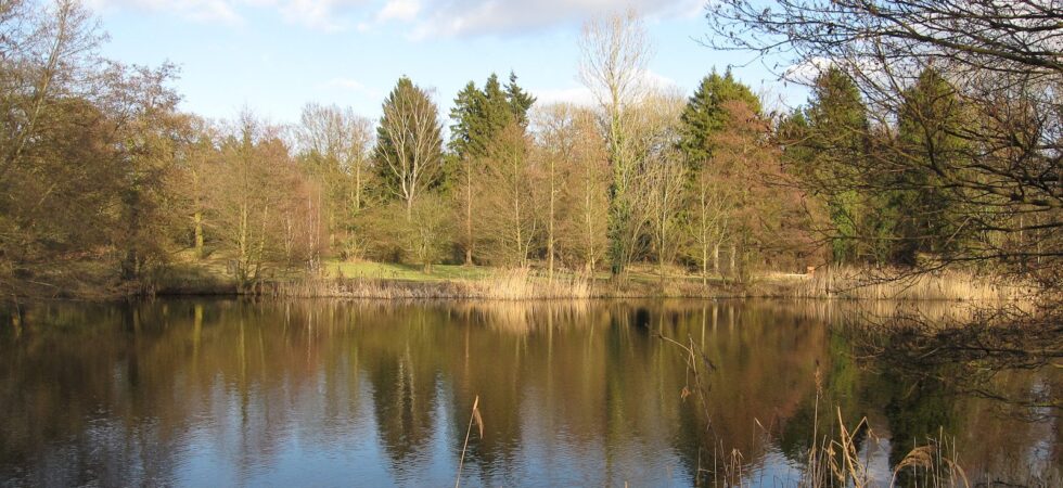 Lynford Arboretum & Lynford Lakes