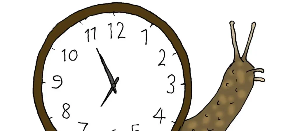 Time Slows Down